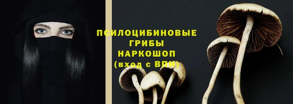 ешки Куйбышев
