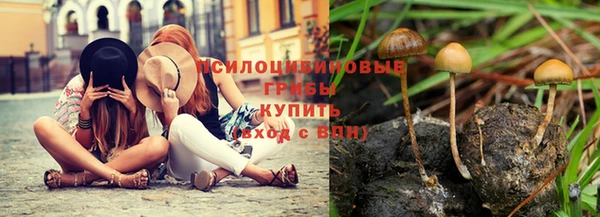экстази Кукмор