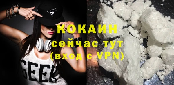 мдпв Лагань