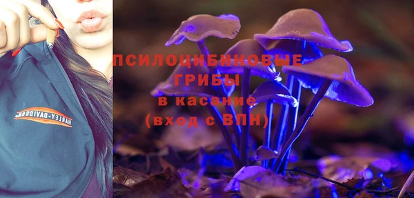 мдпв Лагань